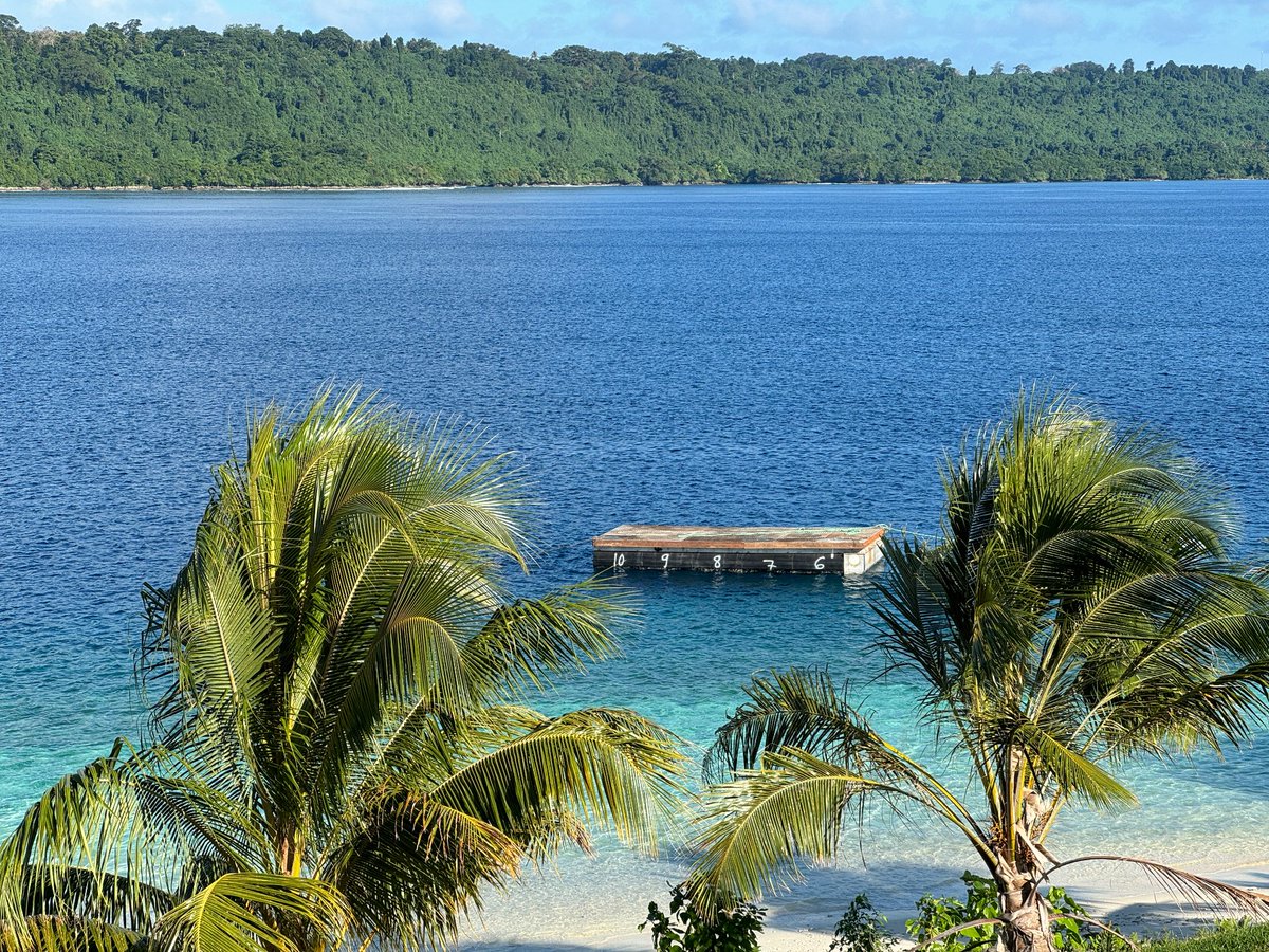 Satoshi Island tweet media