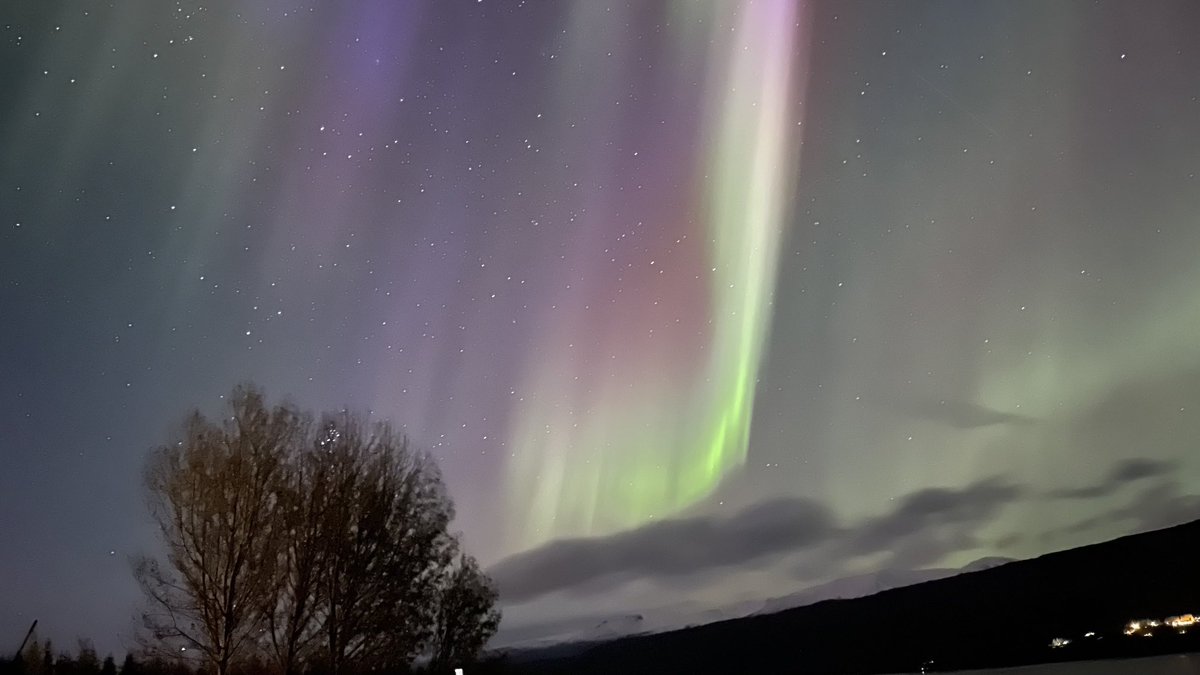 Stefan van der Eijk 🐭 (@stefanvdeijk) on Twitter photo 