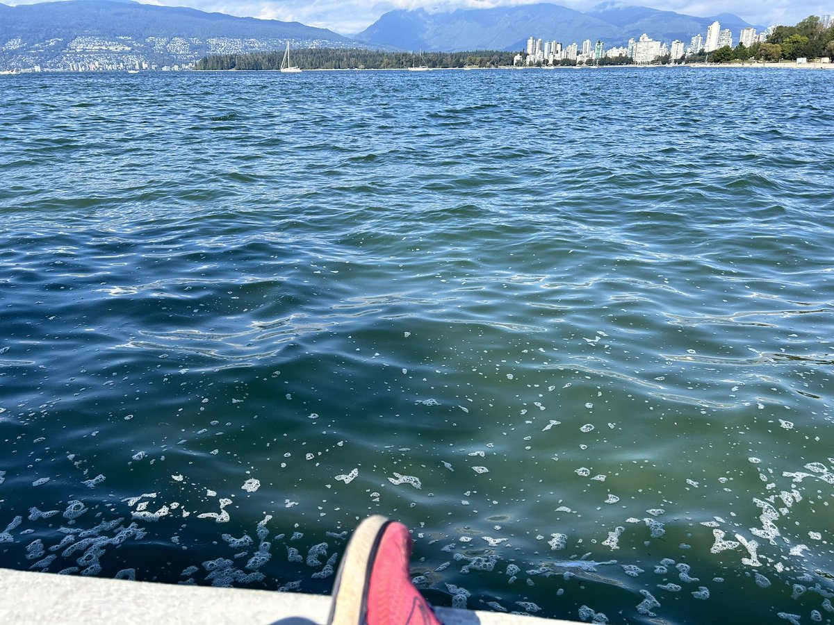 deepa 🏴‍☠️ tweet media