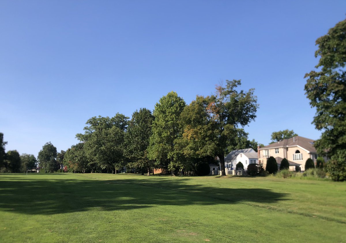 New York Golfer tweet media