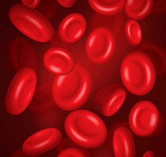 Jeff Perl (@pd_perls) on Twitter photo <a href="/askrenal/">@askrenal</a> #askrenal : what is your approach to SGLT2-I mediated erythrocytosis all other causes ruled out at what hb would you stop therapy? <a href="/brendonneuen/">Brendon Neuen</a> <a href="/hswapnil/">Swapnil Hiremath @hswapnil.medsky.social</a> <a href="/dr_nikhilshah/">Nikhil Shah MBBS DNB(IM, Neph)🇨🇦</a> ? <a href="/askrenal/">@askrenal</a> #askrenal : what is your approach to SGLT2-I mediated erythrocytosis all other causes ruled out at what hb would you stop therapy? <a href="/brendonneuen/">Brendon Neuen</a> <a href="/hswapnil/">Swapnil Hiremath @hswapnil.medsky.social</a> <a href="/dr_nikhilshah/">Nikhil Shah MBBS DNB(IM, Neph)🇨🇦</a> ?
