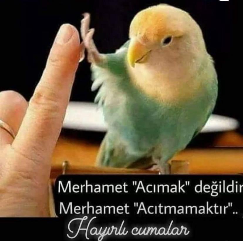 Merhametli vicdanlı dürüst adaletli olan insanlara selam olsun