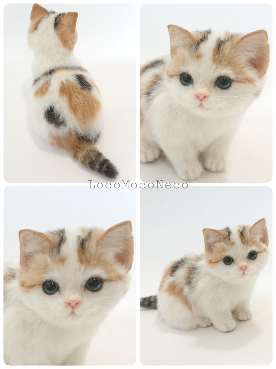 羊毛フェルトマンチカンネコmomoichigo