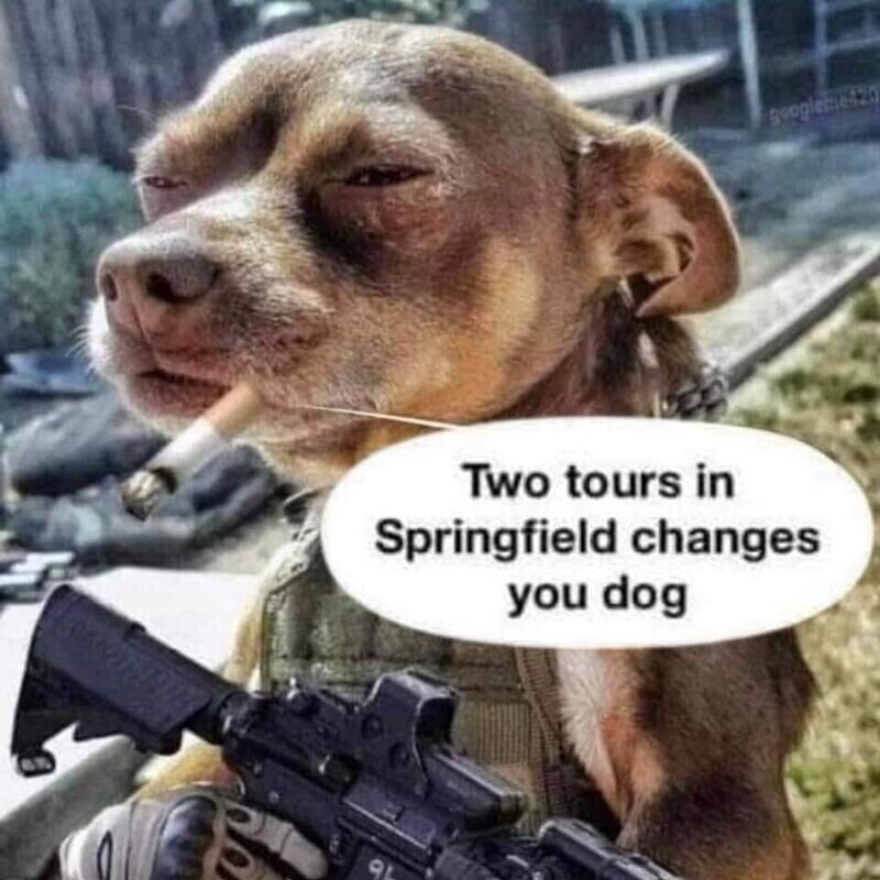 pegchandler's tweet photo. she sounds like Hillary here; but with less gravitas.
Same level of lie, though; maybe higher. #Haiti #SpringfieldOhioHaitianInvasion
#cateating #dogeating.
What ever happened between the Clintons and the money that was supposed to help Haiti? Didn't the Clintons honeymoon there? I Wonder why?