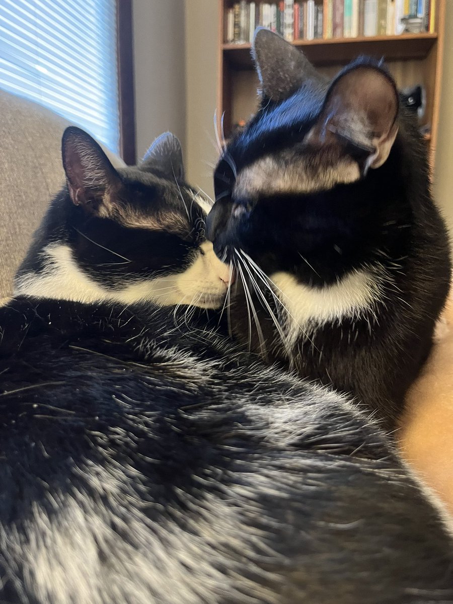 itse , Snuggl Him Time