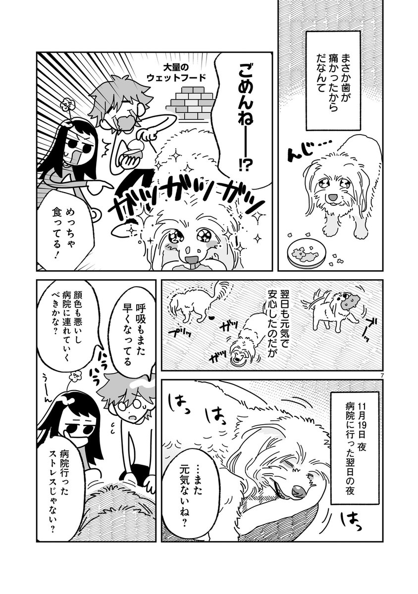 引き取った15歳の犬が死にそうになった話(0/10) 