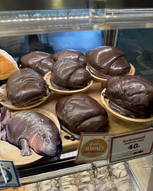 JustMikeMcKay's tweet image. 😅😅😅 
#หมูเด้ง #moodeng