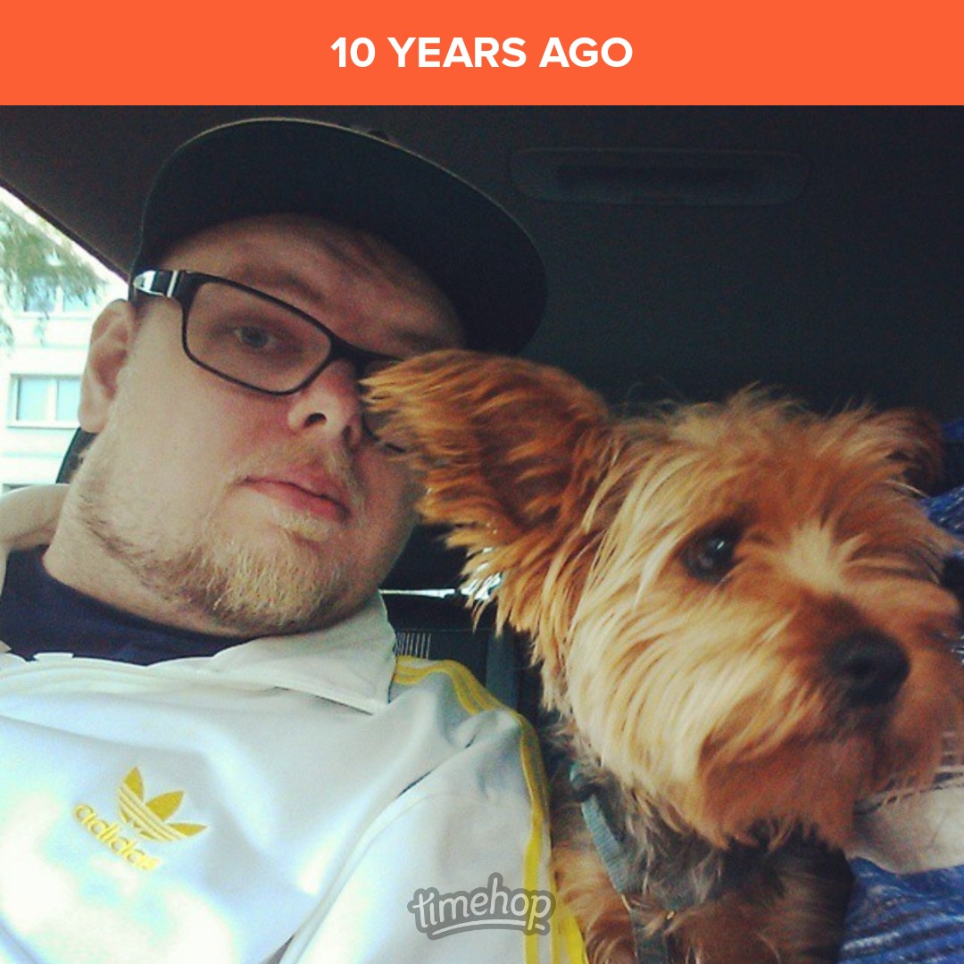 Wally44's tweet image. Passend zur #PresidentialDebate:

#Dogcontent