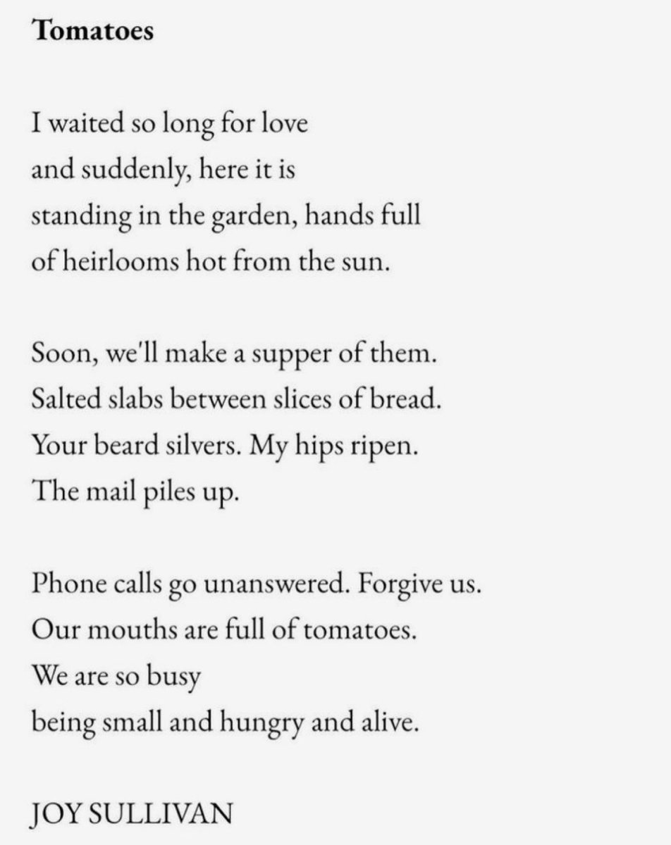 bloodsigns's tweet image. Joy Sullivan • Tomatoes