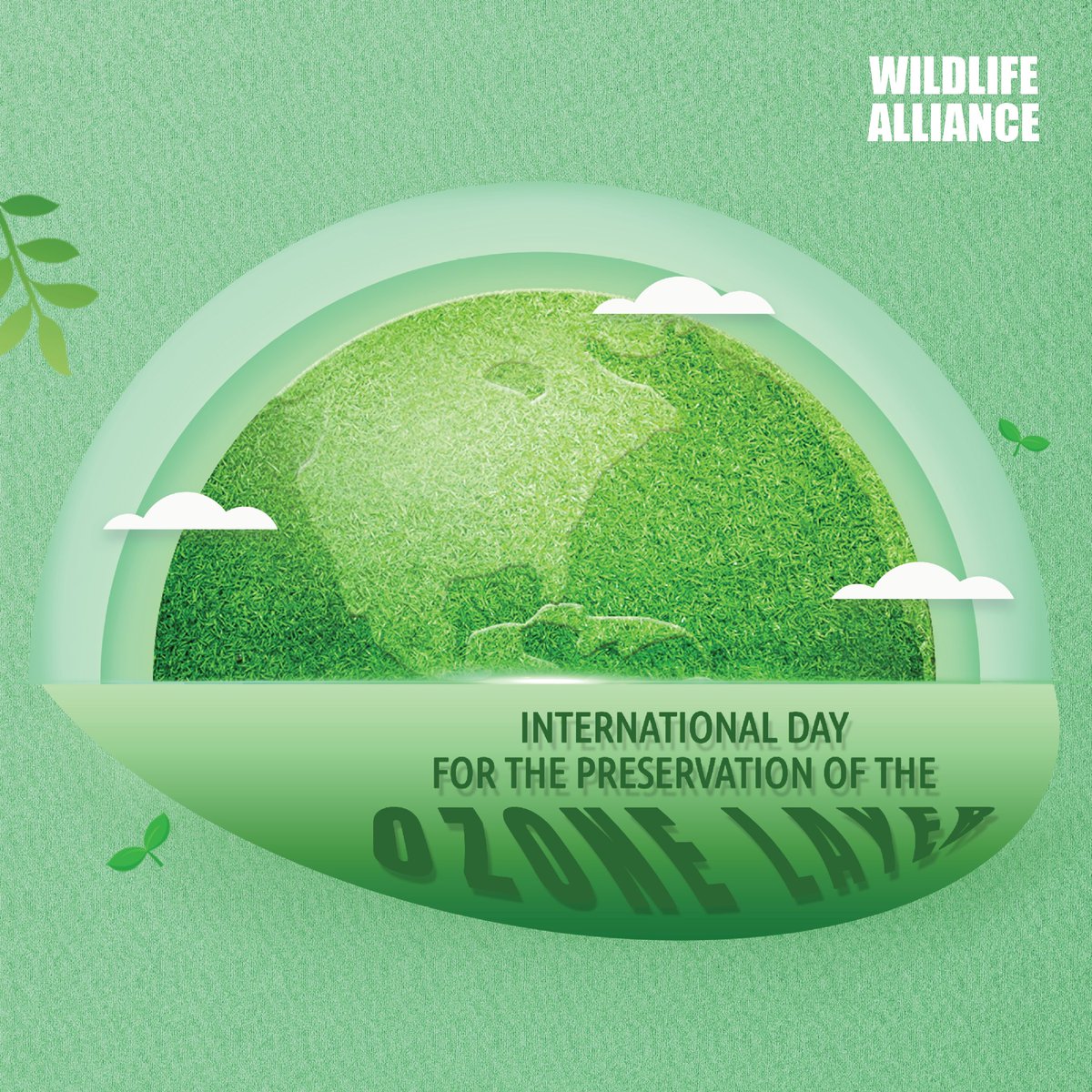 Let's protect our planet on International Day for the Preservation of the Ozone Layer by preserving the Cardamoms - Southeast Asia's last standing unfragmented rainforest in Cambodia.
#wildlifealliance #InternationalDayForThePreservationOfTheOzoneLayer #CardamomsForever #Cambodia