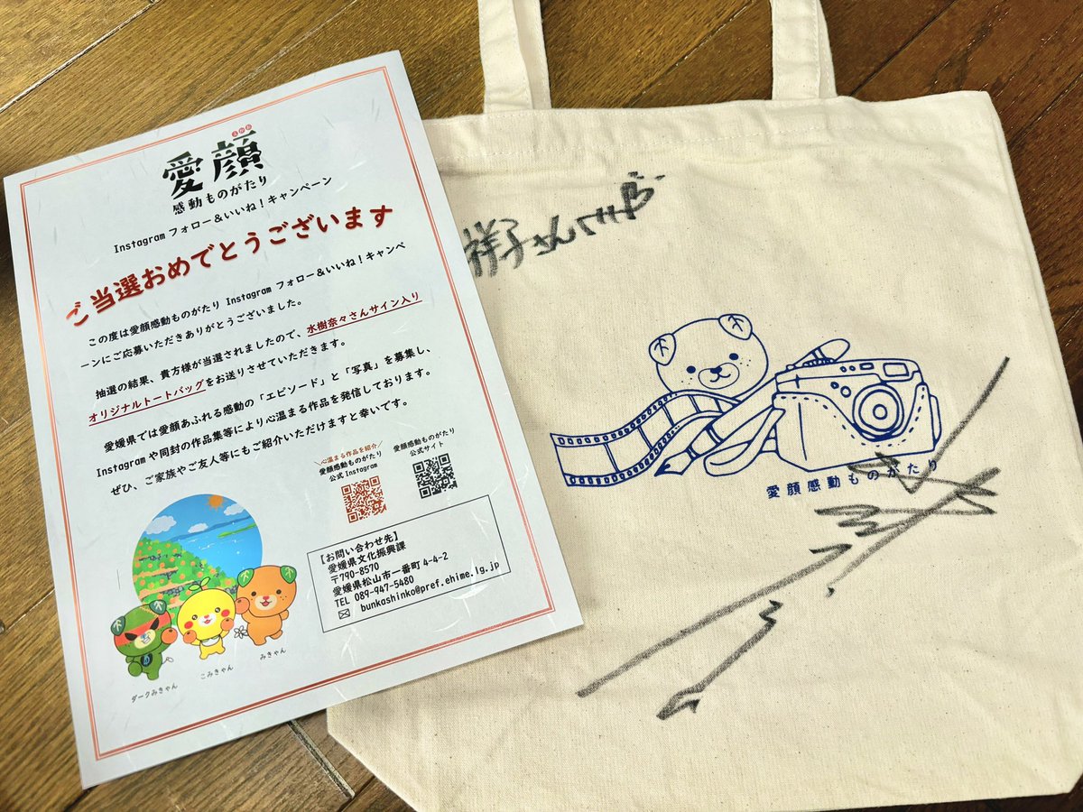 𑁍しょうこ𑁍 tweet media