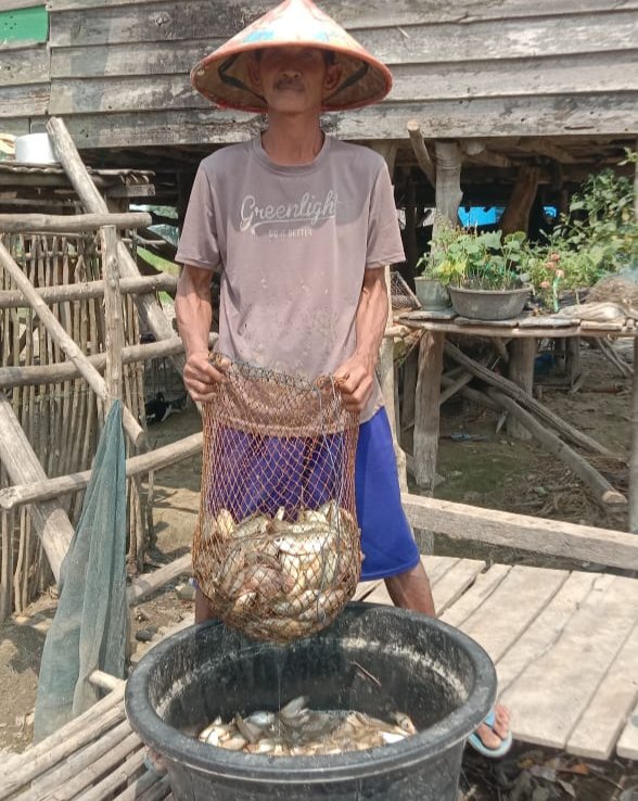 Hafisal81's tweet photo. Giat Kamis tanggal 29/08/2024 Hafisal, S. Pi, kunjungan dan monitoring hasil tangkapan ikan fi KUB Seniga Jaya. Rata-rata hasil tangkapan ikan 5-15 kg/hari dengan harga jual Rp. 10.000/kg.
#GiatLuhkanSatminkalBRPPUPP
#LuhkanKabupatenMuaraEnim
#Luhlapor https://t.co/D927c1YJyf