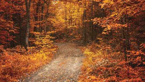 With summer coming to a close, use this guide to find fall activities in Cortland and Tompkins counties that will help you welcome in the colder months:
cortacatoday.com/news/258852-gu…