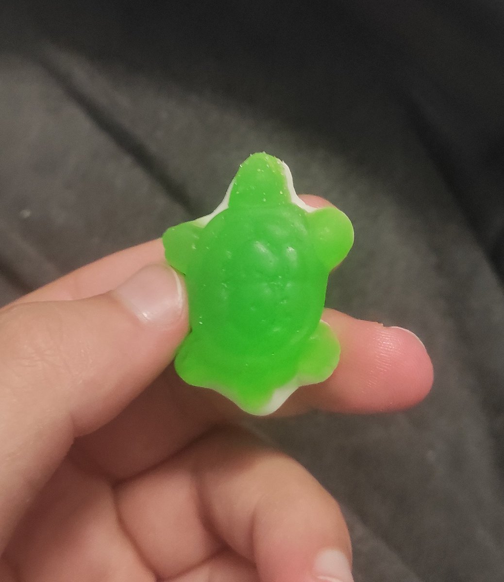 Mistterios0's tweet photo. Por fin lo encontré. Encontré el secreto de las tortugas https://t.co/YhPuGmojkm