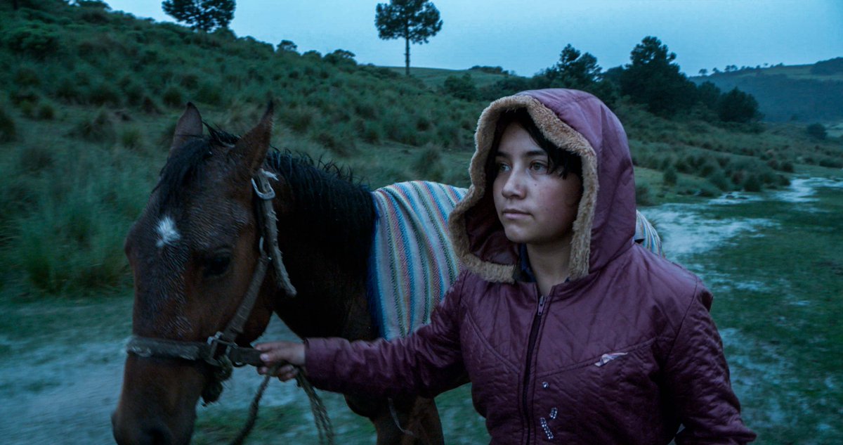 We're proud to co-present a screening of 'EL ECO' at Emerson Paramount Theatre on Sept. 28 with CineFest Latino Boston. The film, set in the remote Mexican village of El Eco, is directed by Tatiana Huezo. Learn more and get tickets: trib.al/IfLd4QV #GlobeEvents