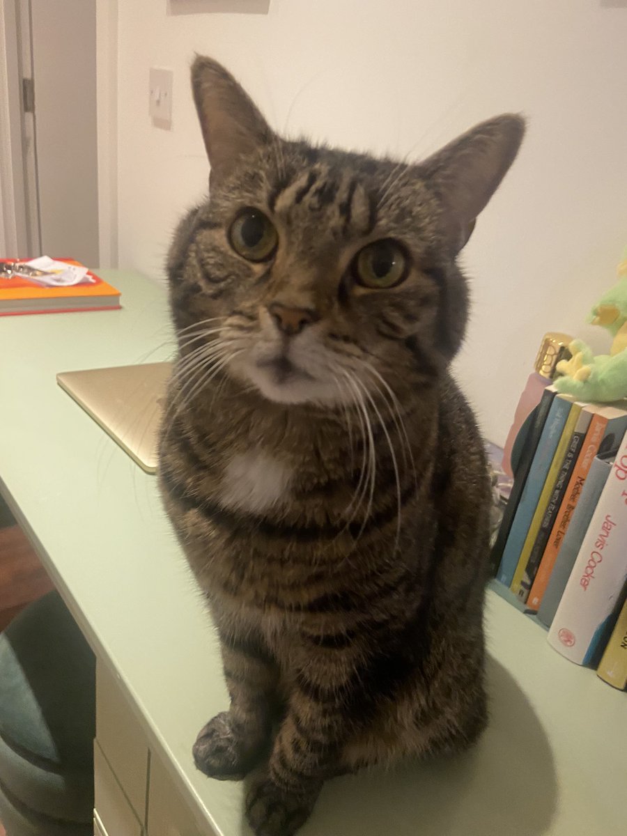 My mumma is home!!!!! MY MUMMA is home!!!! 😆