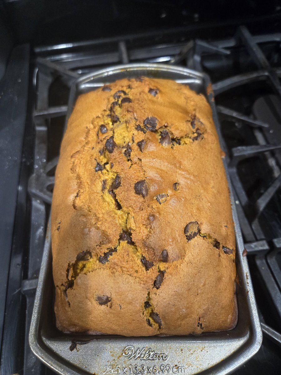 🔮MayDay🏳️‍🌈 tweet media