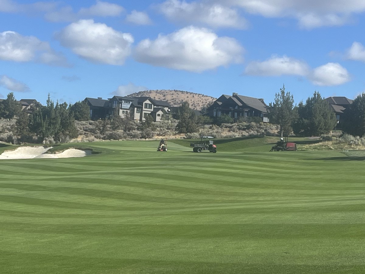 Trans-Mississippi Golf Association tweet media