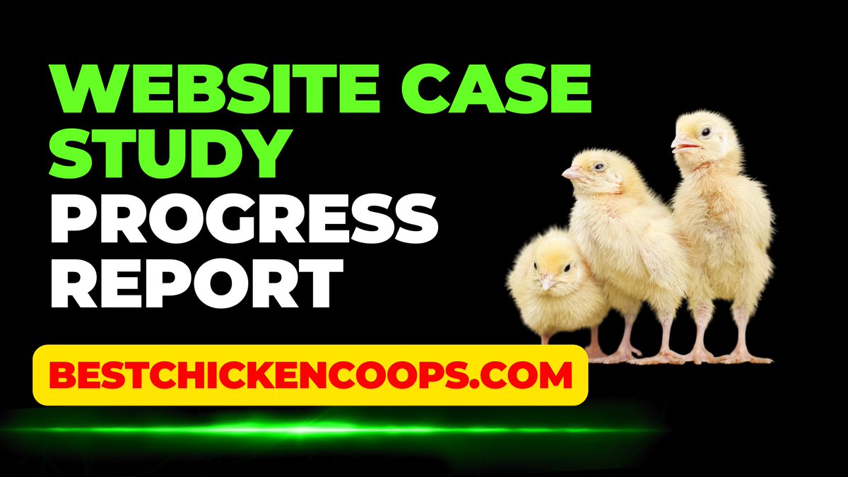 luke_moretti's tweet photo. Best Chicken Coops Progress Report: 11 Blogs In 5 Days, First Week On Go... https://t.co/MxdeOvIoWW via @YouTube 
#WebsiteProgress #BestChickenCoops #AffiliateMarketing https://t.co/kcGC86q7Fl