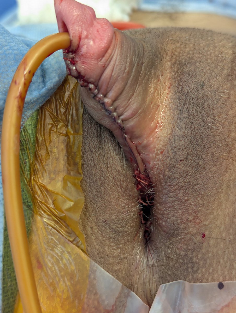 Kirtishri Mishra tweet media