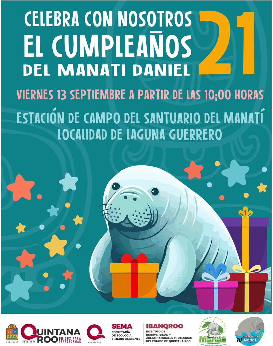 IBANQROO tweet media