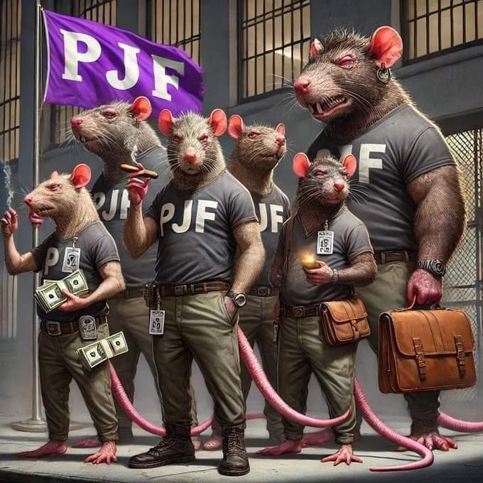 GATOHK's tweet image. El nuevo disfraz de los fachos &quot;La resistencia&quot; jajajajjajajaaa   #ReformaAlPoderJudicialVa  @senadomexicano  @Mx_Diputados  @Claudiashein