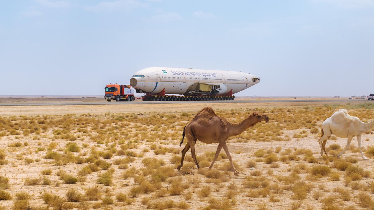 TURKI ALALSHIKH tweet media