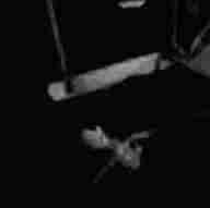FriendlnsideMe's tweet photo. @Blaz_R_Dream https://t.co/BzG0vb42pD