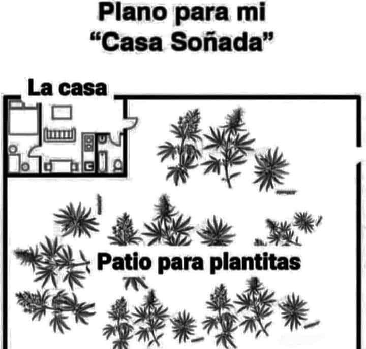 Manifestando ✨️🍁