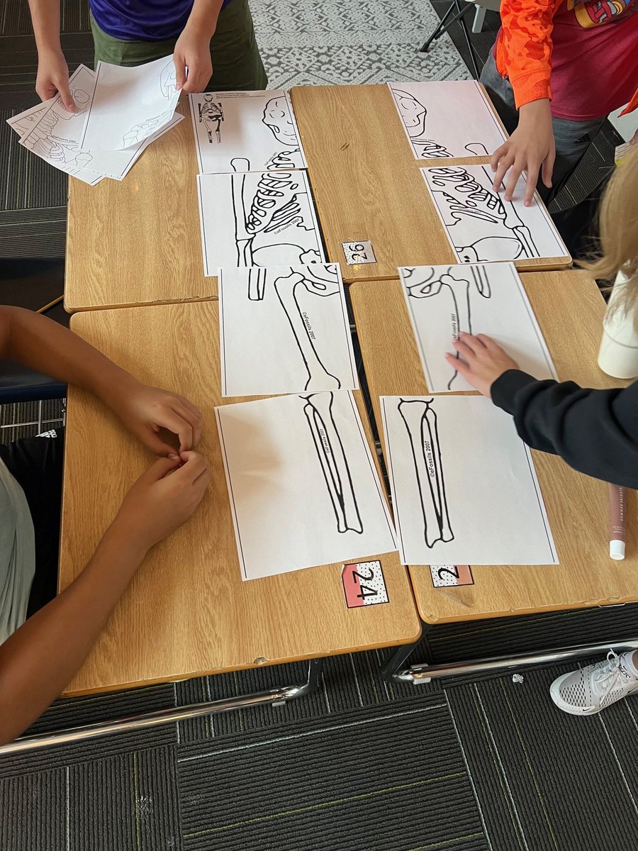 Ginnie Johnson Holloway tweet media