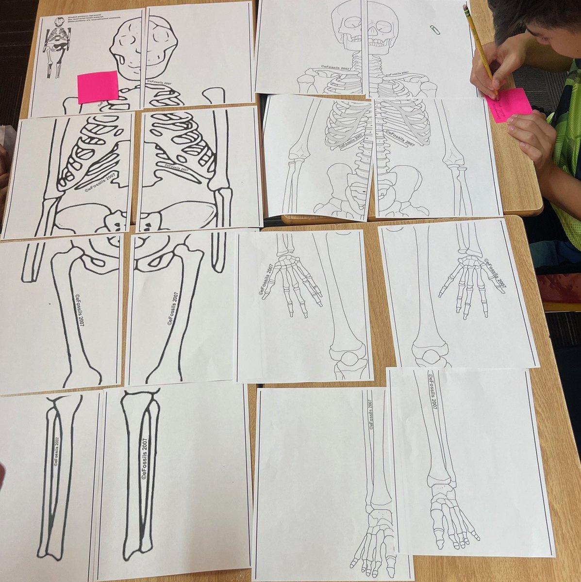 Ginnie Johnson Holloway tweet media