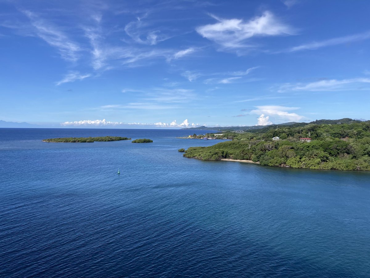 Kendal Bailey tweet media