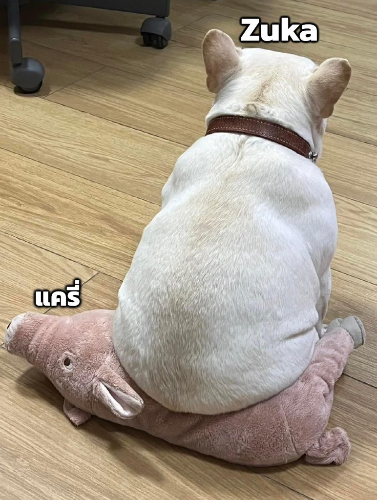 Qzaddroaming's tweet photo. ต้าวอ้วง

#Rovthailand #Rovเป็นเกมส์ตลก #rovไฮไลท์ #rovth #อัปเดตrov #qzadd #Rov #rovเป็นเกมตลก https://t.co/mt9Oityqhs
