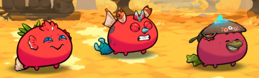 Kmoniracer's tweet photo. Next up is Shillin, one of the recent Season Starter Axies! He cost 1000 gems, but I had the amount needed, so I brought him, and upgraded all his cards like Machito! Can't wait to use him, I wonder how well he'll be! See you in the Arena! #Season10 #AxieInfinity https://t.co/sG2ihvGgZf