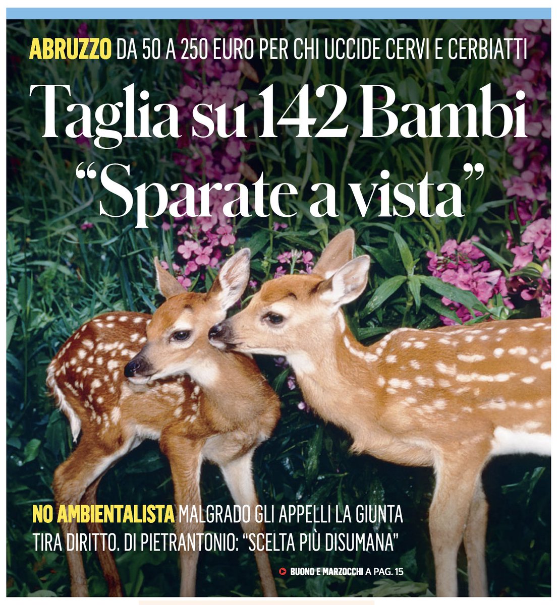 MaxLandra's tweet image. L&apos;#ABRUZZO CON #MARSILIO,il governatore della regione dei 3mari, PEGGIO DEL #TRENTINO DI #FUGATTI..!!