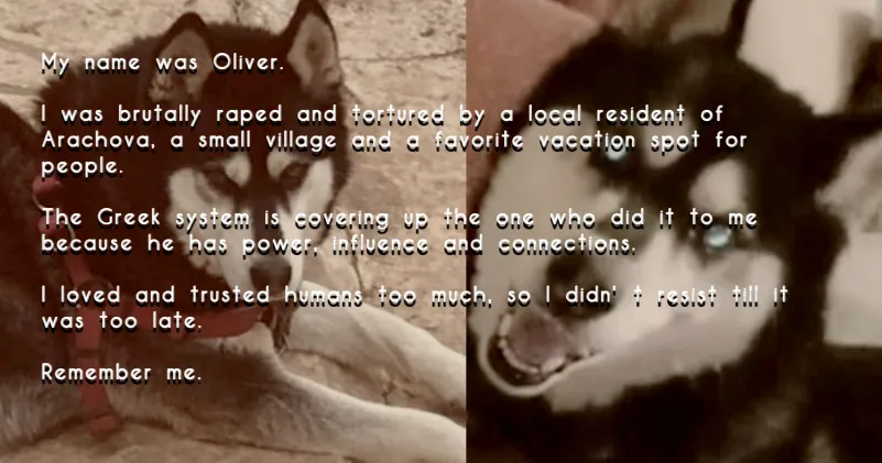 fluffyn00b11's tweet photo. How long will it take for every animal harmed in Greece to find their justice? #CancelArachova #Oliver #ARACHOVA #ΑΡΑΧΩΒΑ #Ολιβερ #JusticeForOliver #Greece #AnimalCruelty https://t.co/rwHcLPbxcZ