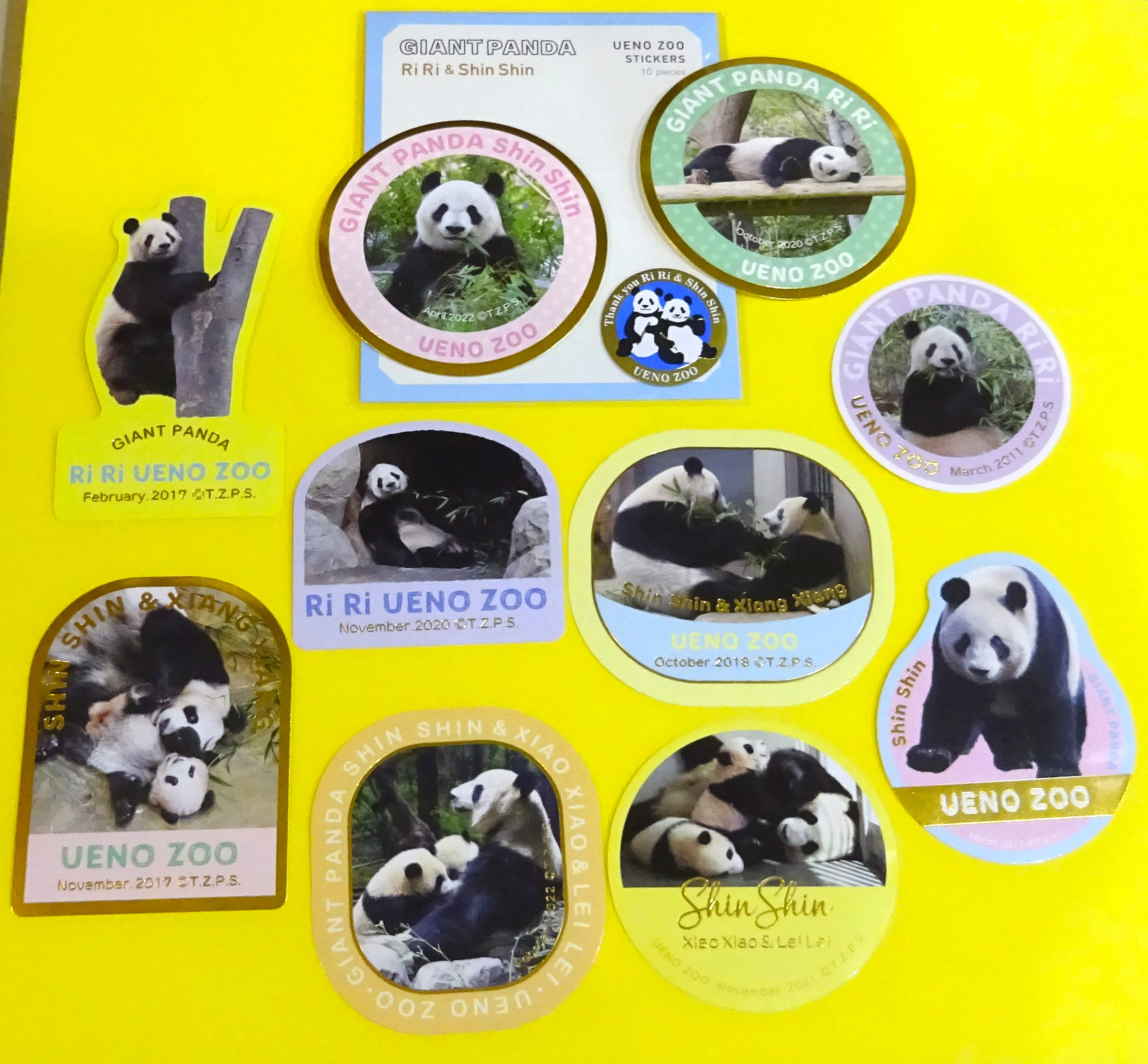 シンシン&シャンシャン ポストカード 上野動物園公式フォト シンシン&シャンシャン ポストカード 上野動物園公式フォト