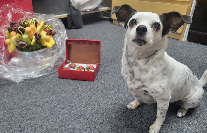 My sisters and my mom got me chocolate covered fruit for recovery. So sweet! https://t.co/Wia1iMsRHB<a href="/tag/xbizmiami"class="tags"><span>#xbizmiami</span></a>