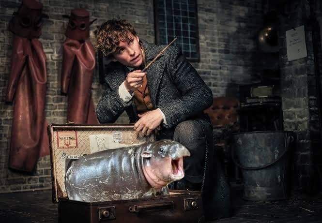 unknow_1902's tweet image. ภาค4 มาแน่