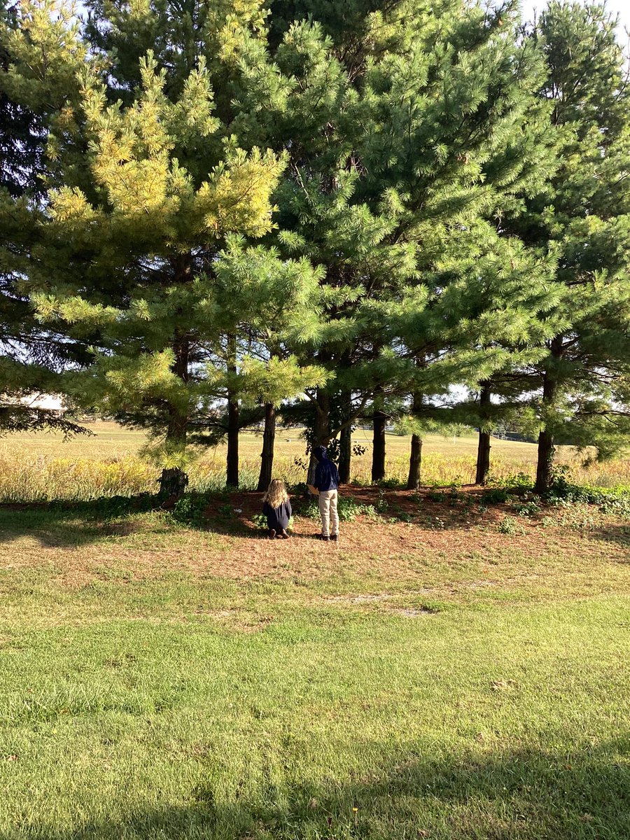 MegHegarty's tweet photo. Planning a garden info project with Biology students that ties into biodiversity &amp; taxonomy. Hoping to connect with @TownofCobourg to see if we can create and post little metal info tags so local residents can benefit from our learning. So much diversity all around us! https://t.co/qdM44dBc7Z