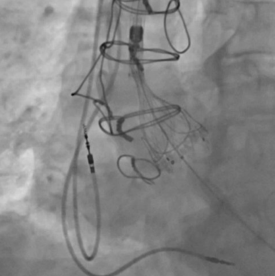 Jeffrey Chidester tweet media