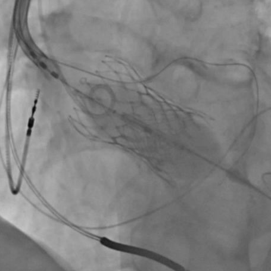 Jeffrey Chidester tweet media