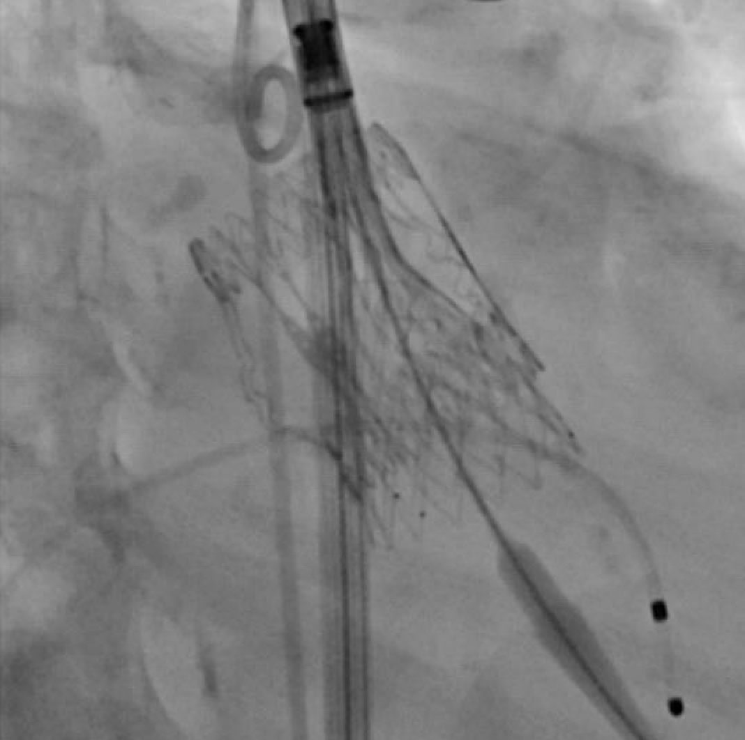 Jeffrey Chidester tweet media