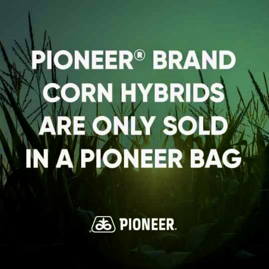 Mike Wardyn (@wardynmi) on Twitter photo 