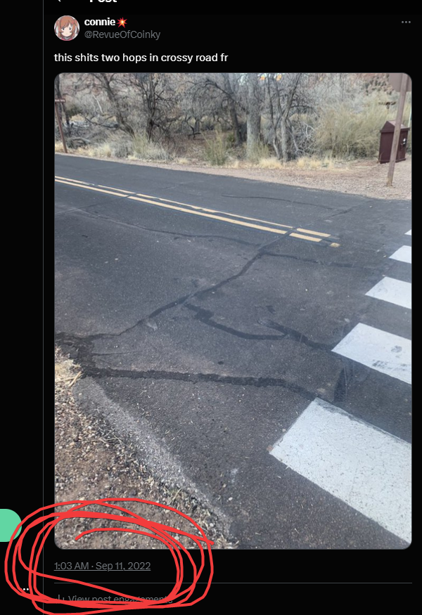 look at this fan trying to copy me