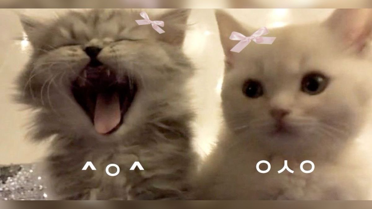 j 𐙚 (@karinaeviis) on Twitter photo 