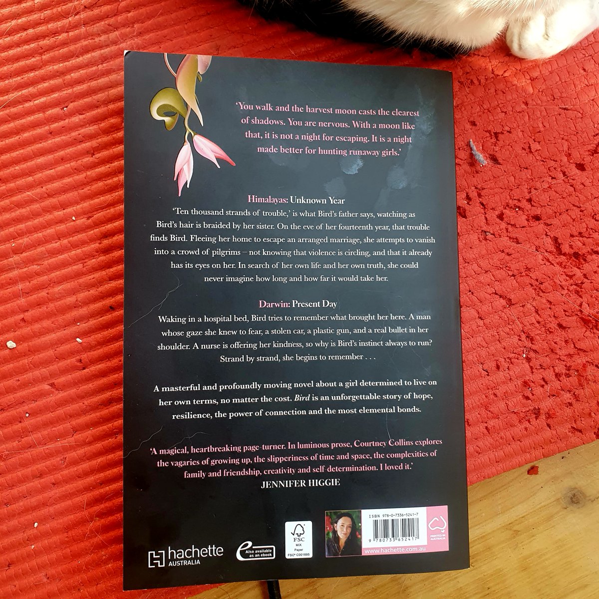 Bird by Courtney Collins has a wonderful dreamlike quality to it. The novel explores thought provoking topics like reincarnation and the connections between people, and the prose sparkles. 
wp.me/p5k577-1n4 
#BookReview #amreading #booktwt