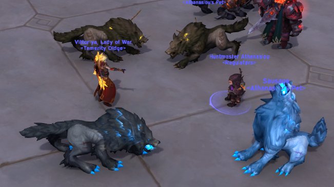 VittoriyaWoW's tweet photo. first other person I've seen with Hati & Fenrir
#warcraft #wowhunter https://t.co/jCQbWV1FKi