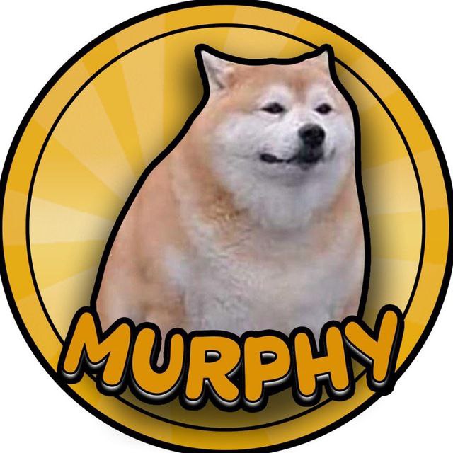 murphychems's tweet photo. @BNBCHAIN Buy $Murphy https://t.co/5sR6JIakUW 
https://t.co/7hWdKrXC6g https://t.co/HvcVjzJsCI