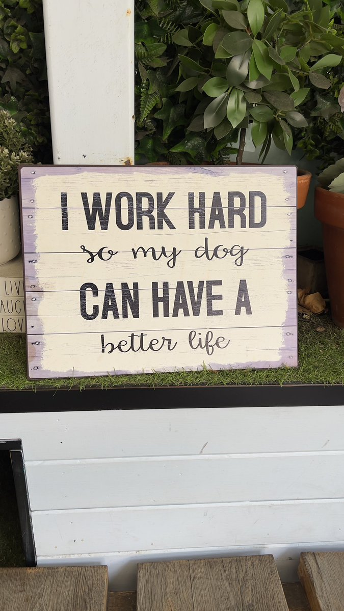 Shoutout to the handlers 🐶 🐕 🐾